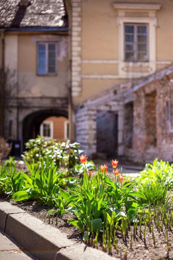 #Stayhere - Historic Vilnius Old Town Chic Studio Esterno foto