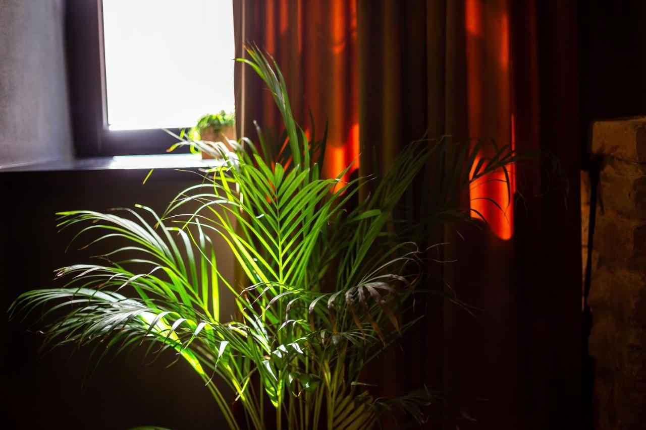 #Stayhere - Historic Vilnius Old Town Chic Studio Esterno foto